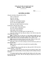 Hợp đồng lao động