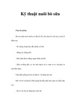 Kỹ thuật nuôi bò sữa pps