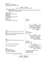 giao an lop 3 chuan kien thuc ki nang (tuan 35)