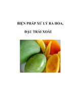 BIỆN PHÁP XỬ LÝ RA HOA, ĐẬU TRÁI XOÀI ppsx