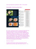 Cẩm nang sử dụng filter trong nhiếp ảnh - Phần 5 - Close-up Filter Close-up Filter ( pps