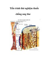 Tiến trình thử nghiệm thuốc chống ung thư ppt