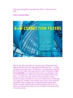 Cẩm nang sử dụng filter trong nhiếp ảnh - Phần 3 - Color Correction Filter Color pps