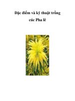 Đặc điểm và kỹ thuật trồng cúc Pha lê docx