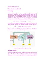 Sinh hoc tế bào ( phần 7 ) pptx