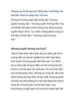 Nhượng quyền thương mại: Khái niệm và hệ thống văn bản điều chỉnh của pháp luật Việt nam ppsx