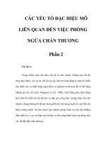 CÁC YẾU TỐ ĐẶC HIỆU MÔ LIÊN QUAN ĐẾN VIỆC PHÒNG NGỪA CHẤN THƯƠNG - Phần 2 docx