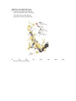 NHỮNG CÂU ĐỐI TẾT HAY ppsx