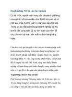 Doanh nghiệp Việt và câu chuyện tỉ giá docx