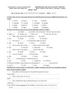 De Hk2.0910.tieng Anh 11