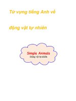 Từ vựng tiếng Anh về động vật tự nhiên doc