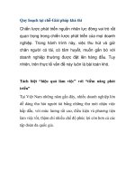 Quy hoạch tại chỗ-Giải pháp khả thi pdf