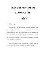 BIẾN CHỨNG VIÊM TAI XƯƠNG CHŨM - Phần 1 pot