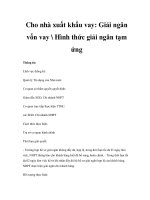 Cho nhà xuất khẩu vay: Giải ngân vốn vay  Hình thức giải ngân tạm ứng ppsx