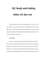 Kỹ thuật nuôi dưỡng chăm sóc lợn con pps