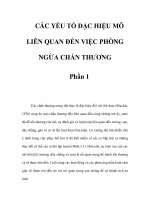 CÁC YẾU TỐ ĐẶC HIỆU MÔ LIÊN QUAN ĐẾN VIỆC PHÒNG NGỪA CHẤN THƯƠNG - Phần 1 pdf