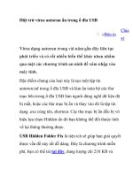 diệt trừ virus autorun ẩn trong ổ đĩa usb