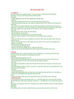 TRÒ CHƠI NGOÀI TRỜI