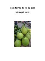 Hiện tượng da lu, da cám trên quả bưởi potx