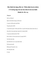 Bảo lãnh tín dụng đầu tư: Thẩm định dự án nhóm CTrường hợp tài sản bảo đảm là tài sản hình thành từ vốn vay pot