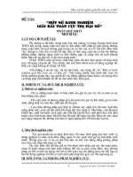 Sang kien kinh nghiem Toan Hoc (new)