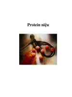 Protein niệu doc