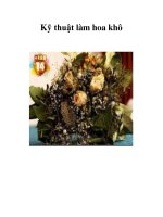 Kỹ thuật làm hoa khô pot