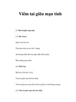 Viêm tai giữa mạn tính pot