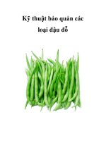 Kỹ thuật bảo quản các loại đậu đỗ pot