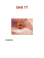 Unit 17 Vocabulary ppt