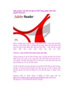 Giải quyết 2 vấn đề cho tập tin PDF bằng phần mềm bản quyền miễn phí pps