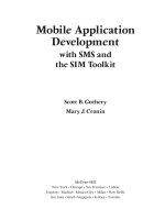 Mobile Application Development with SMS and the SIM Toolkit ppt