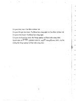 Quy phạm khảo nghiệm trên đồng ruộng hiệu lực phòng trừ bệnh chết nhanh hại cây hồ tiêu của các thuốc trừ bệnh