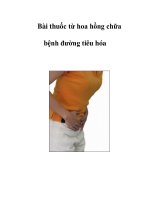 Bài thuốc từ hoa hồng chữa bệnh đường tiêu hóa potx