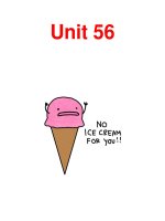 Unit 56 .Vocabulary pdf