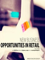 New Business Opportunities in Retail: Brief Guide