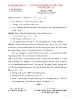 TSL10 Toan Nghệ An 10-11