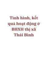 Luận văn: Tình hình, kết quả hoạt động ở BHXH thị xã Thái Bình pdf