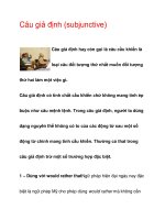 Câu giả định (subjunctive) doc
