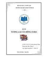Tiểu luận tài chính quốc tế Tương lai của đồng Euro