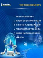 THANH TOÁN QUA NGÂN HÀNG điện tử