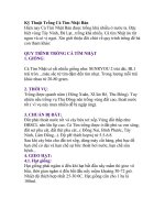 Kỹ Thuật Trồng Cà Tím Nhật Bản ppt