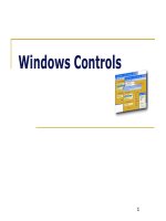 Winform - Lập Trình C# - Lập Trình C Shap - Advanced_Controls 1 pdf