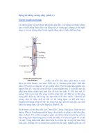 Động vật không xương sống ( phần 6 ) Ngành Gnathostomulida potx