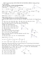 ôn tập chuong I hình học 9