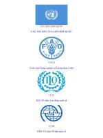 Các tổ chức của Liên Hợp Quốc