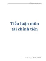 Tiểu luận môn tài chính tiền ppsx