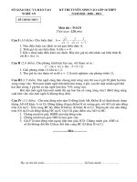 Đề thi vào 10 năm học 2010-2011 môn Toán