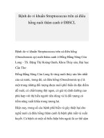 Bệnh do vi khuẩn Streptococcus trên cá điêu hồng nuôi thâm canh ở ĐBSCL pdf