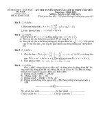 Đề thi chuyên Hà Nam 2010-2011 (Đề chung)